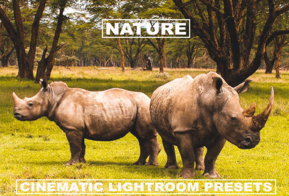 Download Cinematic Lightroom Presets Nature Tone - Premium Resources