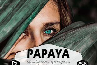 Download Papaya Photoshop Actions and ACR Presets - Acr presets Collection