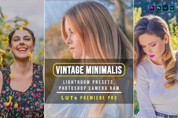 Download 10 Vintage Minimalist Presets and Luts - Vintage Collection
