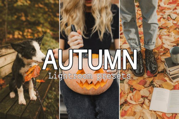 Download 9 Warm Tone Fall Lightroom Presets - Premium Bundle