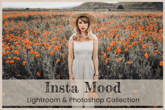 Download Instagram Mood Lightroom Photoshop - Premium Bundle